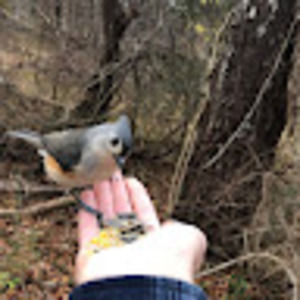 Meet your Posher, Jillian